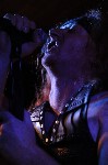 Thumbs/tn_Ingrimm 503.jpg
